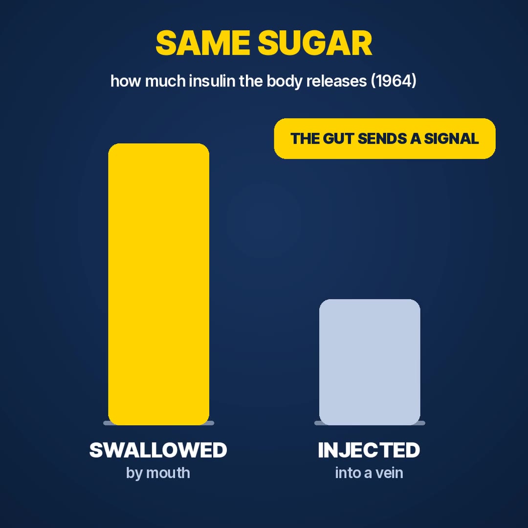 Explainer: the same sugar releases more insulin when swallowed than when injected